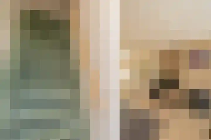 Molenstraat 5 Oude-Tonge thumbnail 13