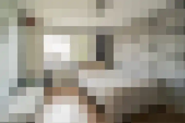 Molenstraat 5 Oude-Tonge thumbnail 15