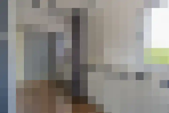 Molenstraat 5 Oude-Tonge thumbnail 18