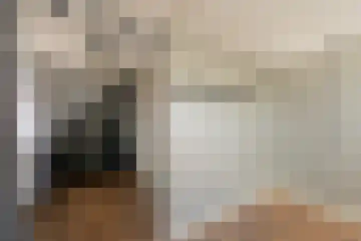 Molenstraat 5 Oude-Tonge thumbnail 19