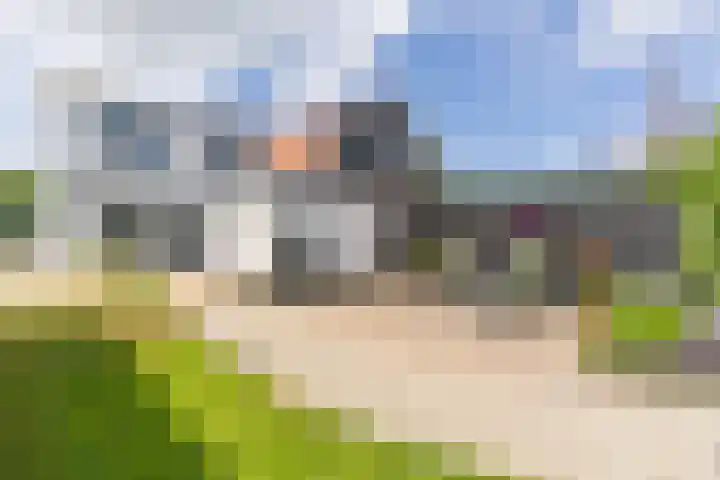 Molenstraat 5 Oude-Tonge thumbnail 21
