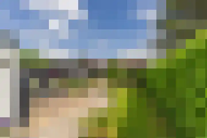 Molenstraat 5 Oude-Tonge thumbnail 22