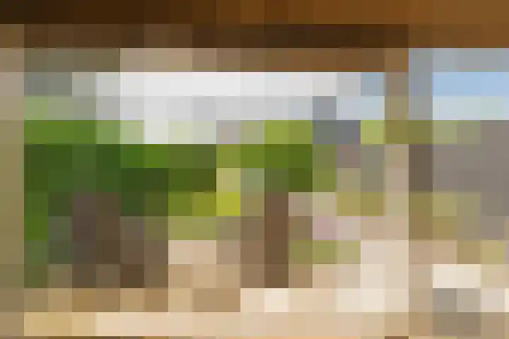 Molenstraat 5 Oude-Tonge thumbnail 24