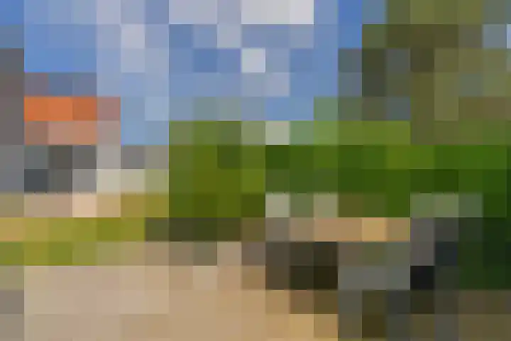 Molenstraat 5 Oude-Tonge thumbnail 28
