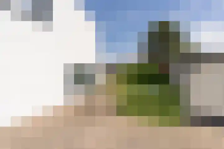 Molenstraat 5 Oude-Tonge thumbnail 29