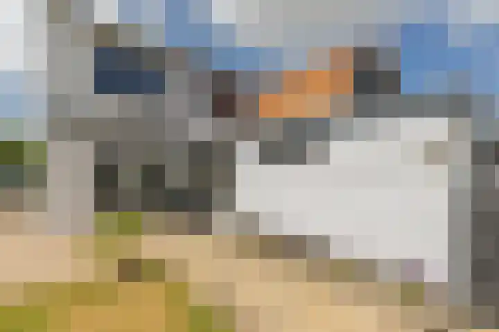 Molenstraat 5 Oude-Tonge thumbnail 4
