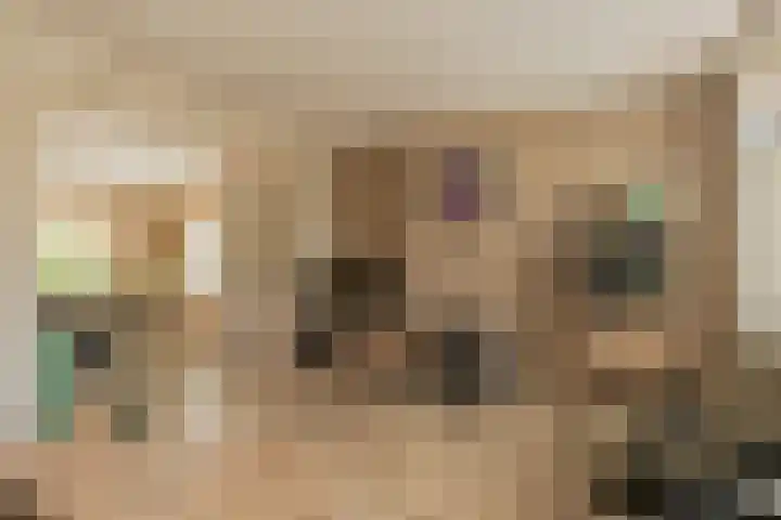 Molenstraat 5 Oude-Tonge thumbnail 5