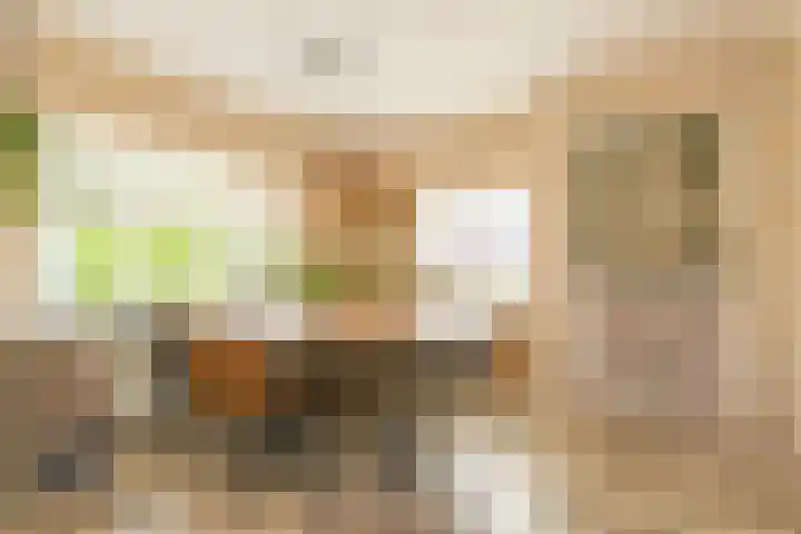 Molenstraat 5 Oude-Tonge thumbnail 8