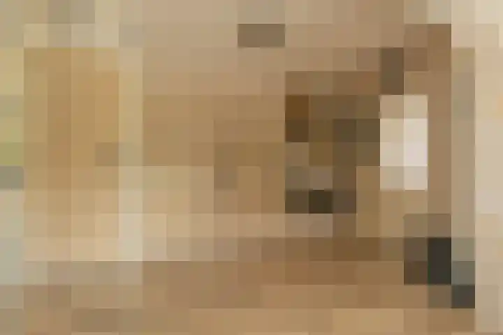Molenstraat 5 Oude-Tonge thumbnail 9