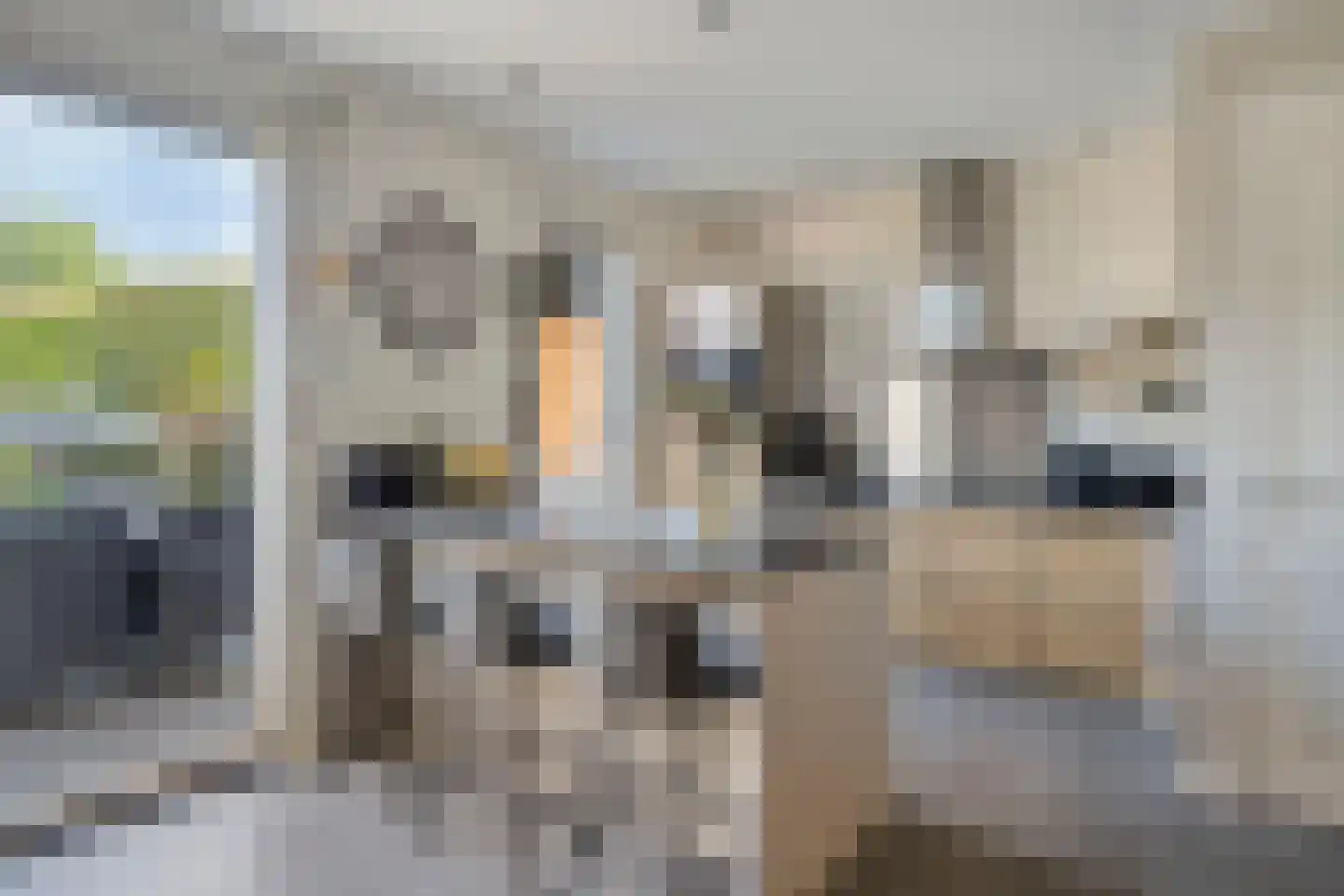 Molenstraat 50 Gilze thumbnail 11