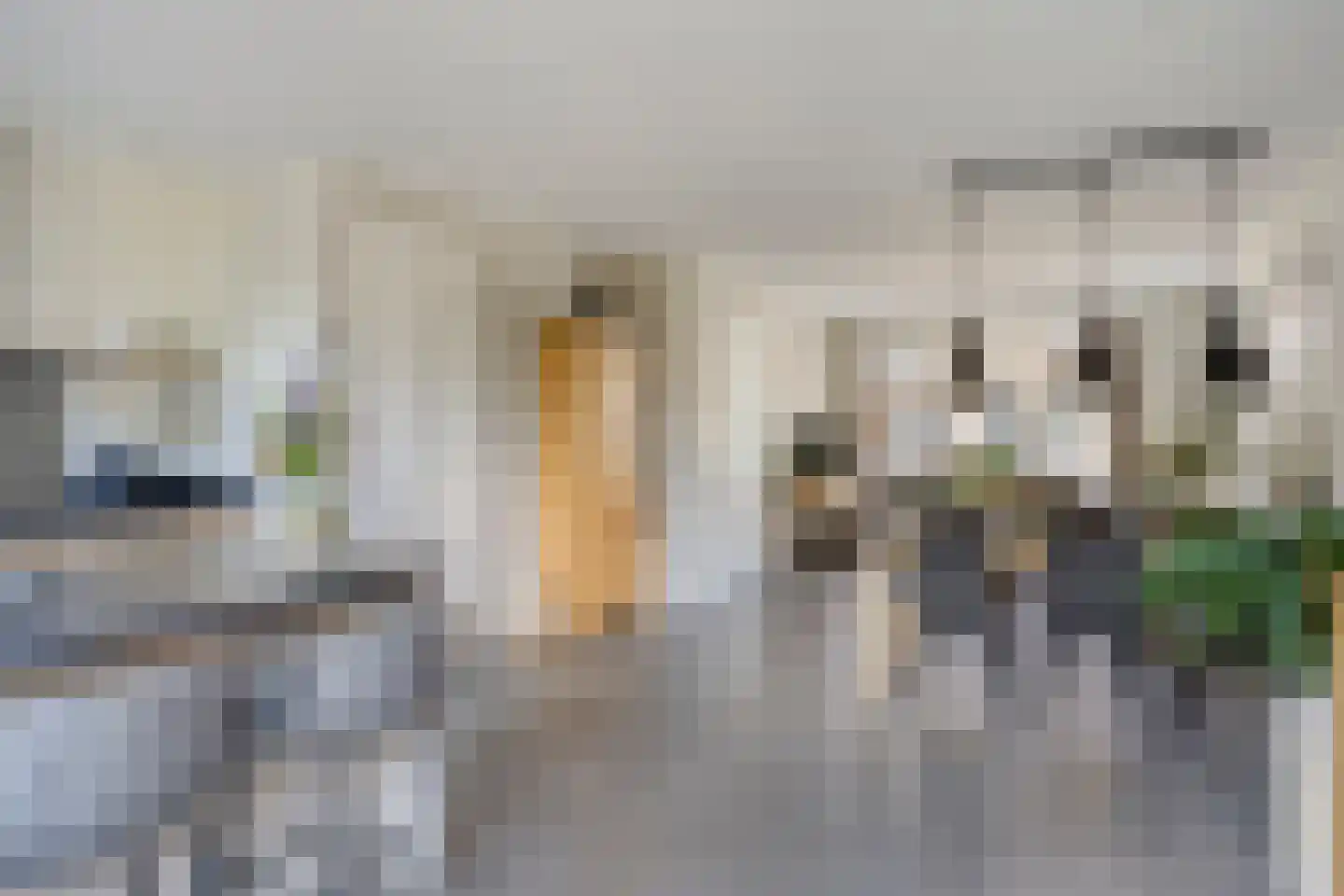 Molenstraat 50 Gilze thumbnail 7