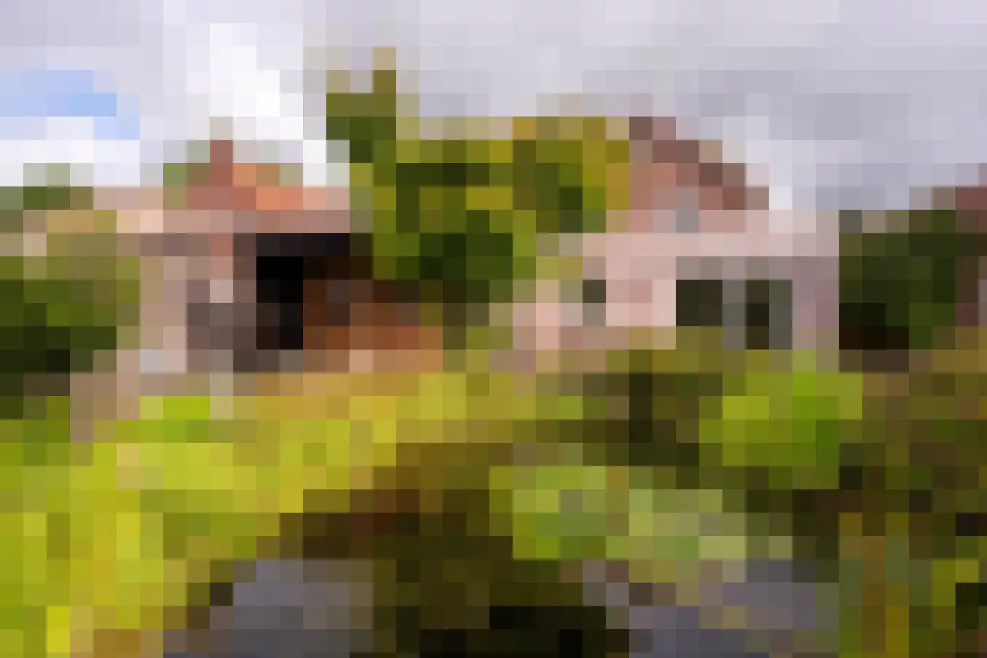 Molenstraat 50 Ossendrecht thumbnail 35