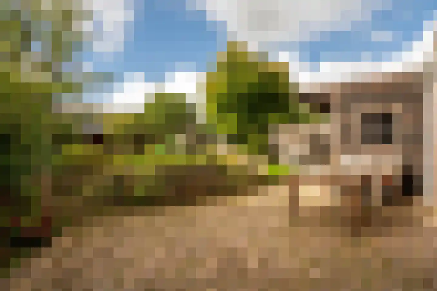 Molenstraat 50 Ossendrecht thumbnail 36
