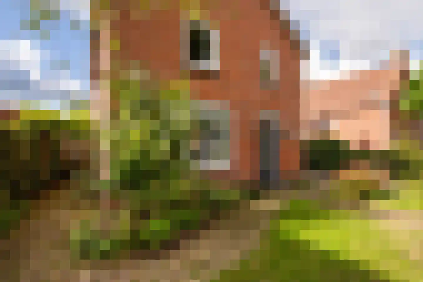 Molenstraat 50 Ossendrecht thumbnail 43