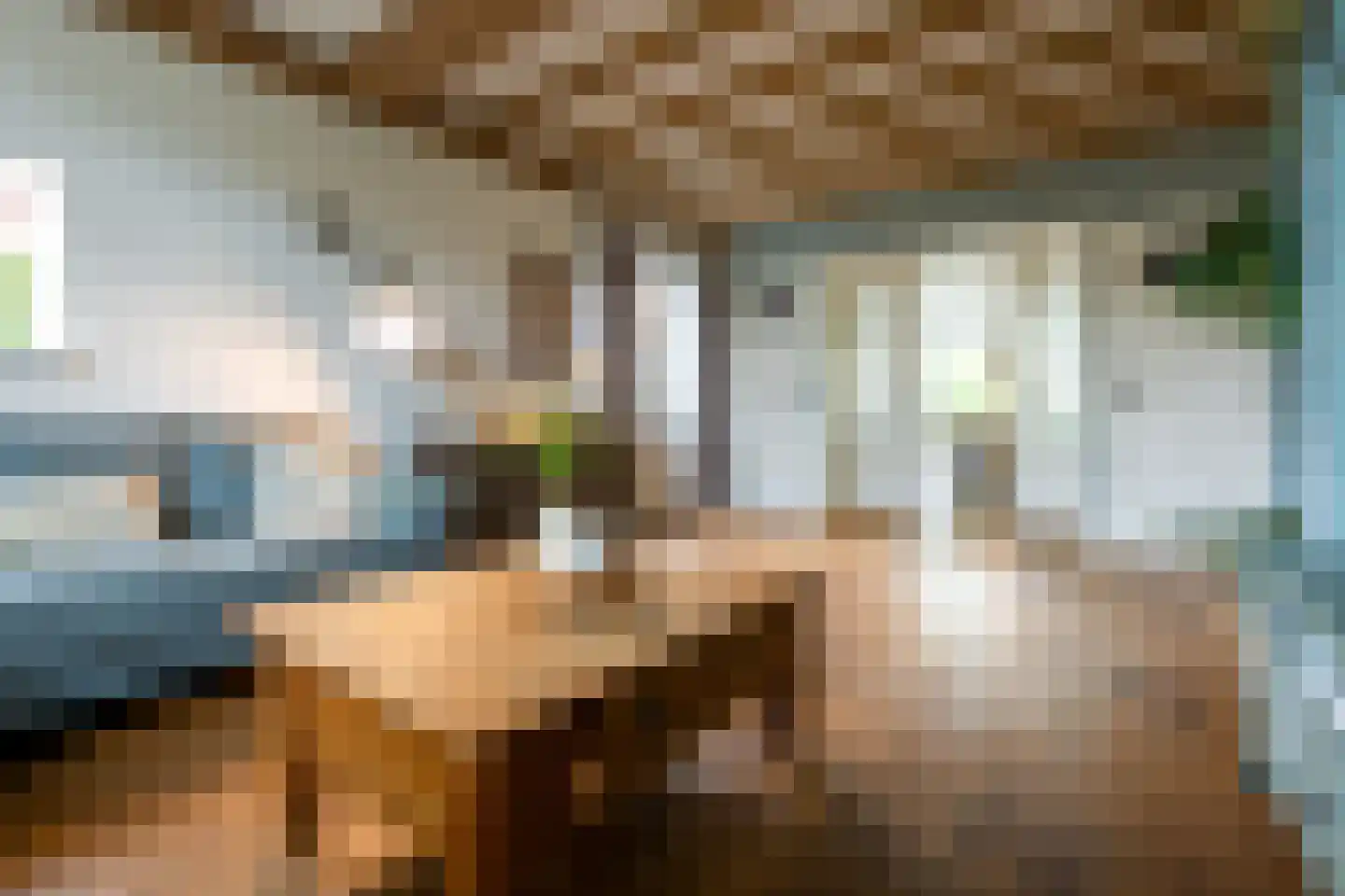Molenstraat 50 Ossendrecht thumbnail 6