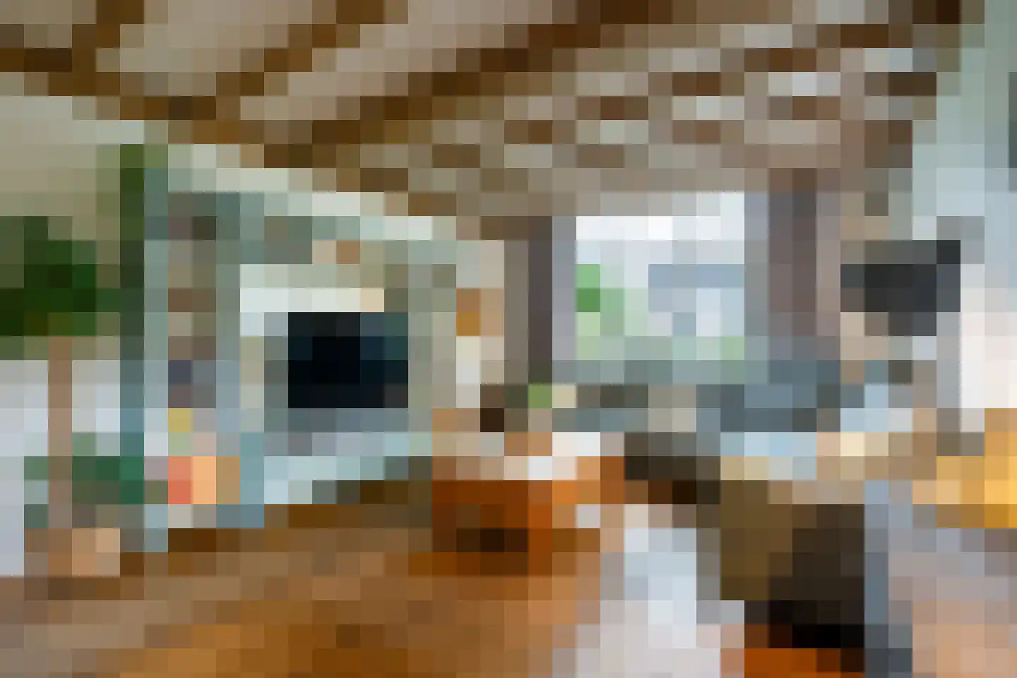 Molenstraat 50 Ossendrecht thumbnail 8
