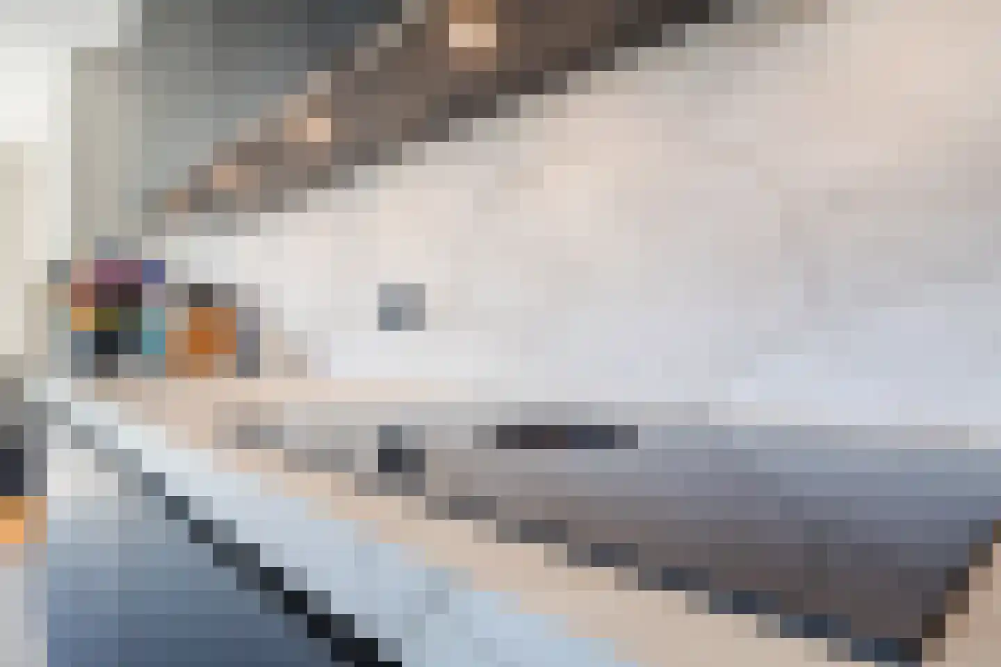 Molenstraat 51 a Cuijk thumbnail 18