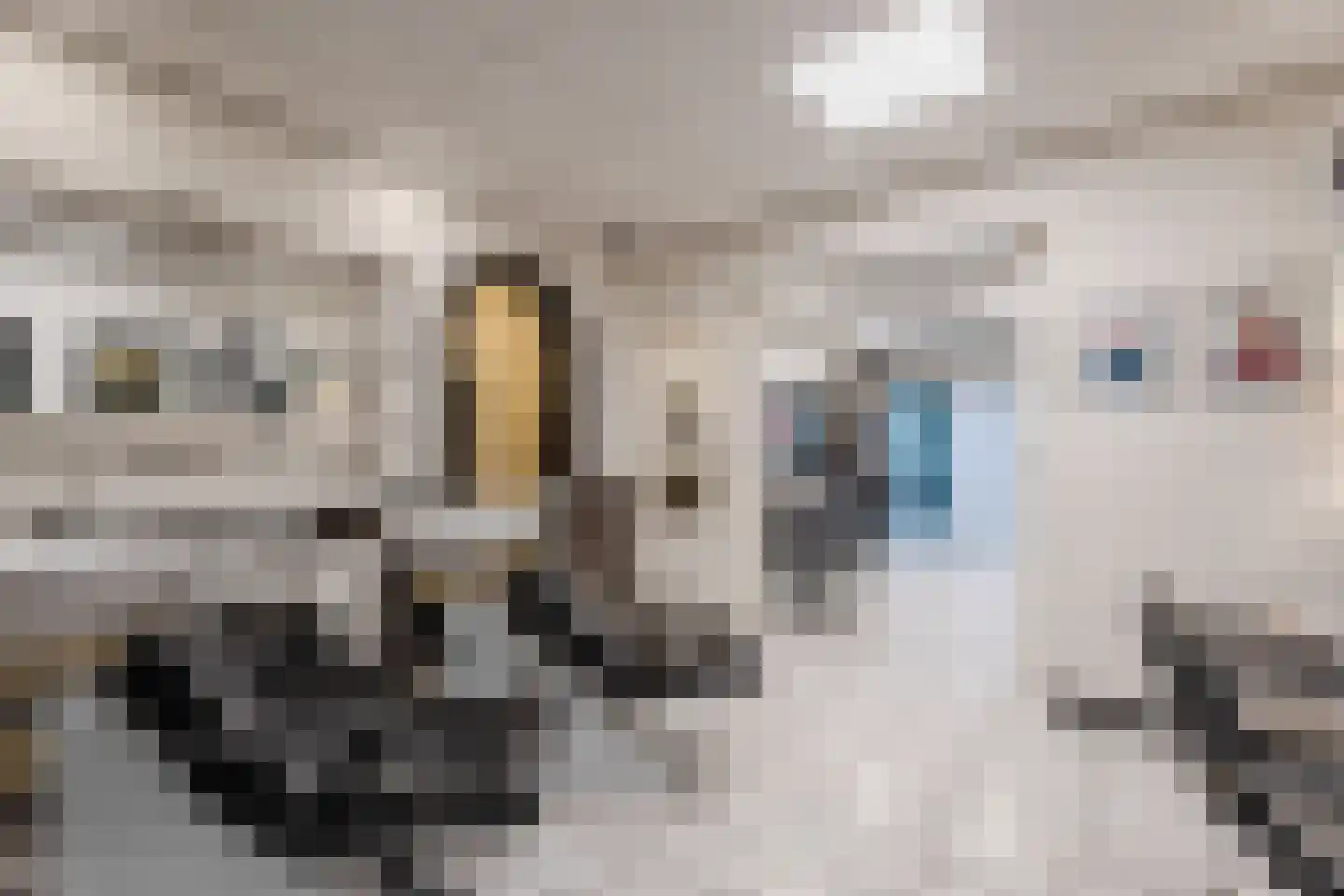 Molenstraat 52 Cuijk thumbnail 10