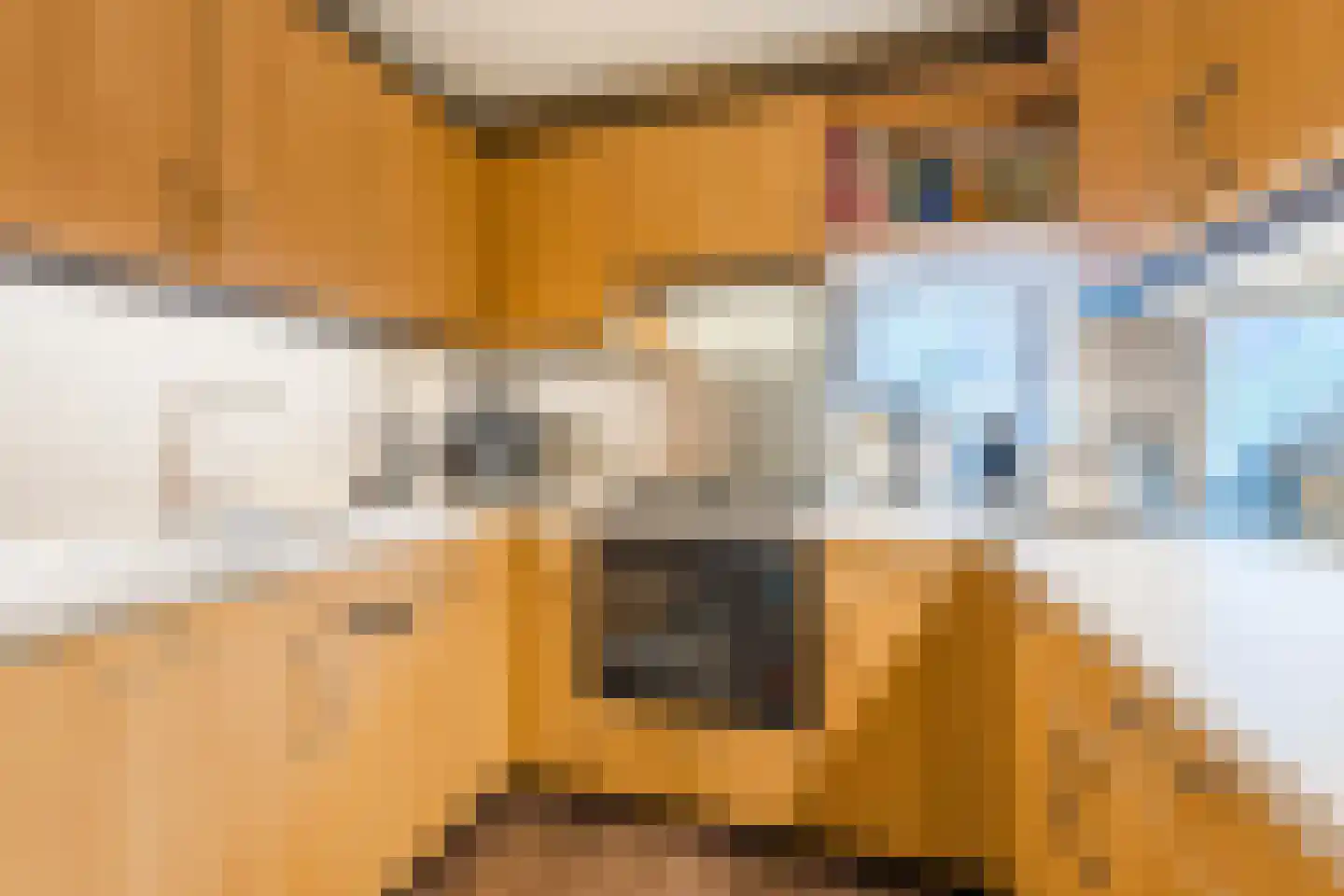 Molenstraat 52 Cuijk thumbnail 18