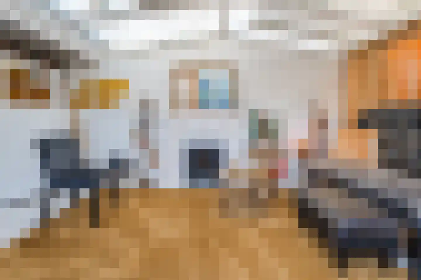 Molenstraat 52 Cuijk thumbnail 22