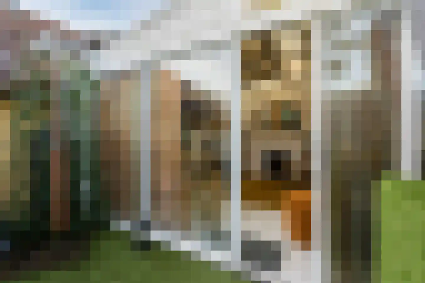 Molenstraat 52 Cuijk thumbnail 33