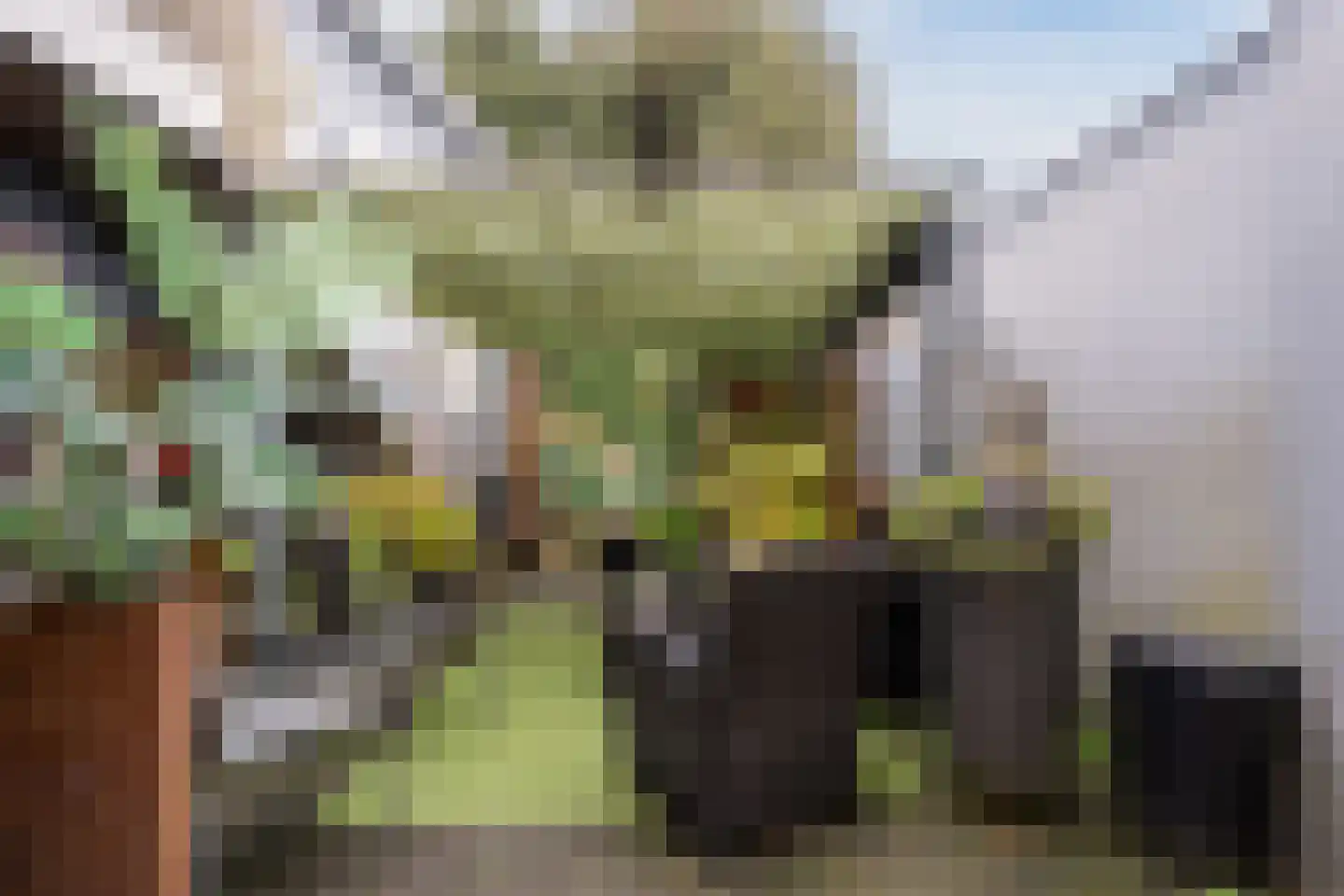 Molenstraat 52 Cuijk thumbnail 34