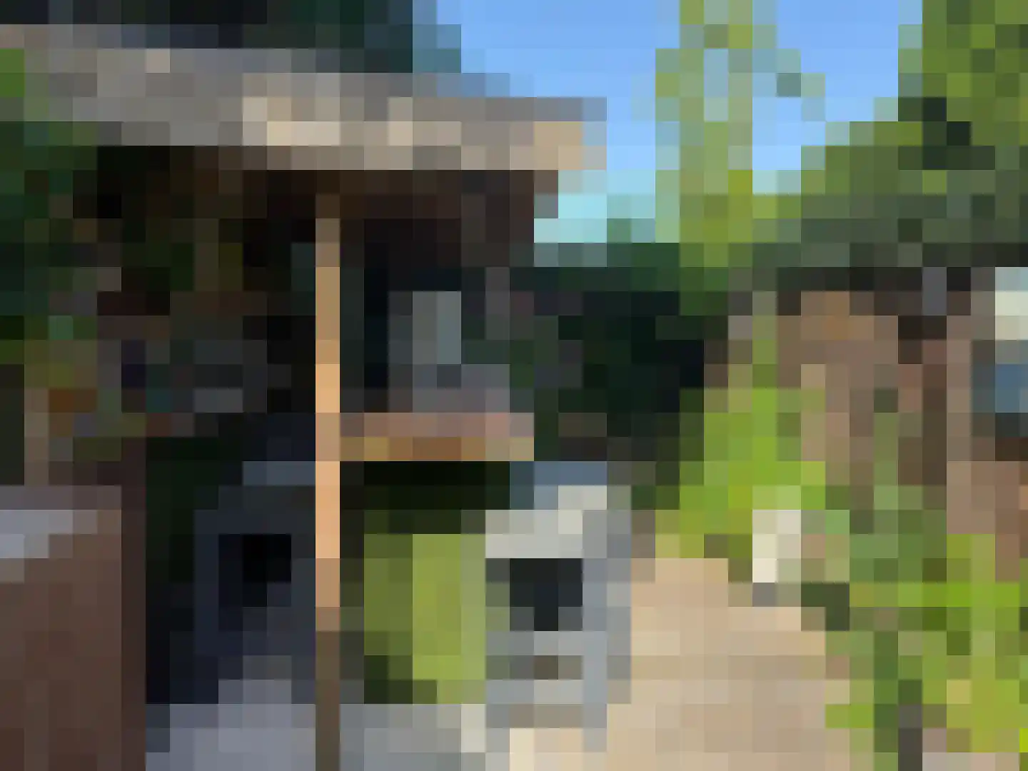 Molenstraat 52 Cuijk thumbnail 35