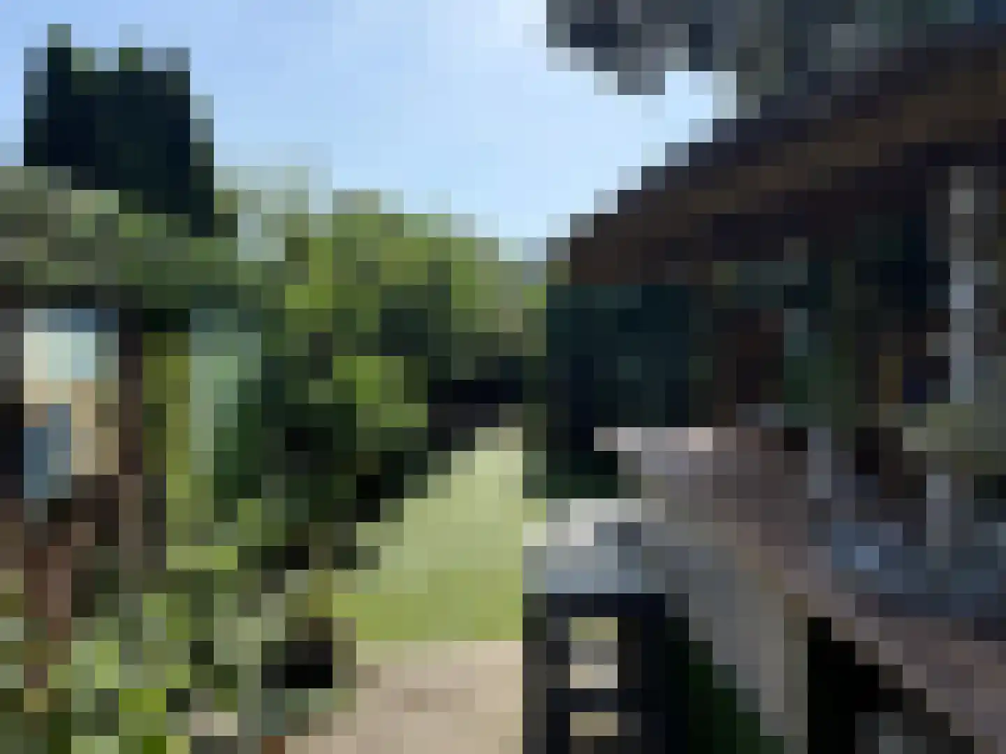 Molenstraat 52 Cuijk thumbnail 6