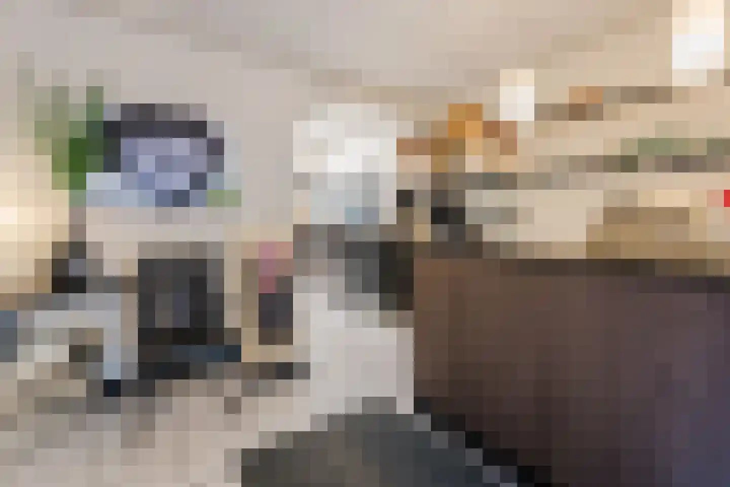 Molenstraat 52 Cuijk thumbnail 8