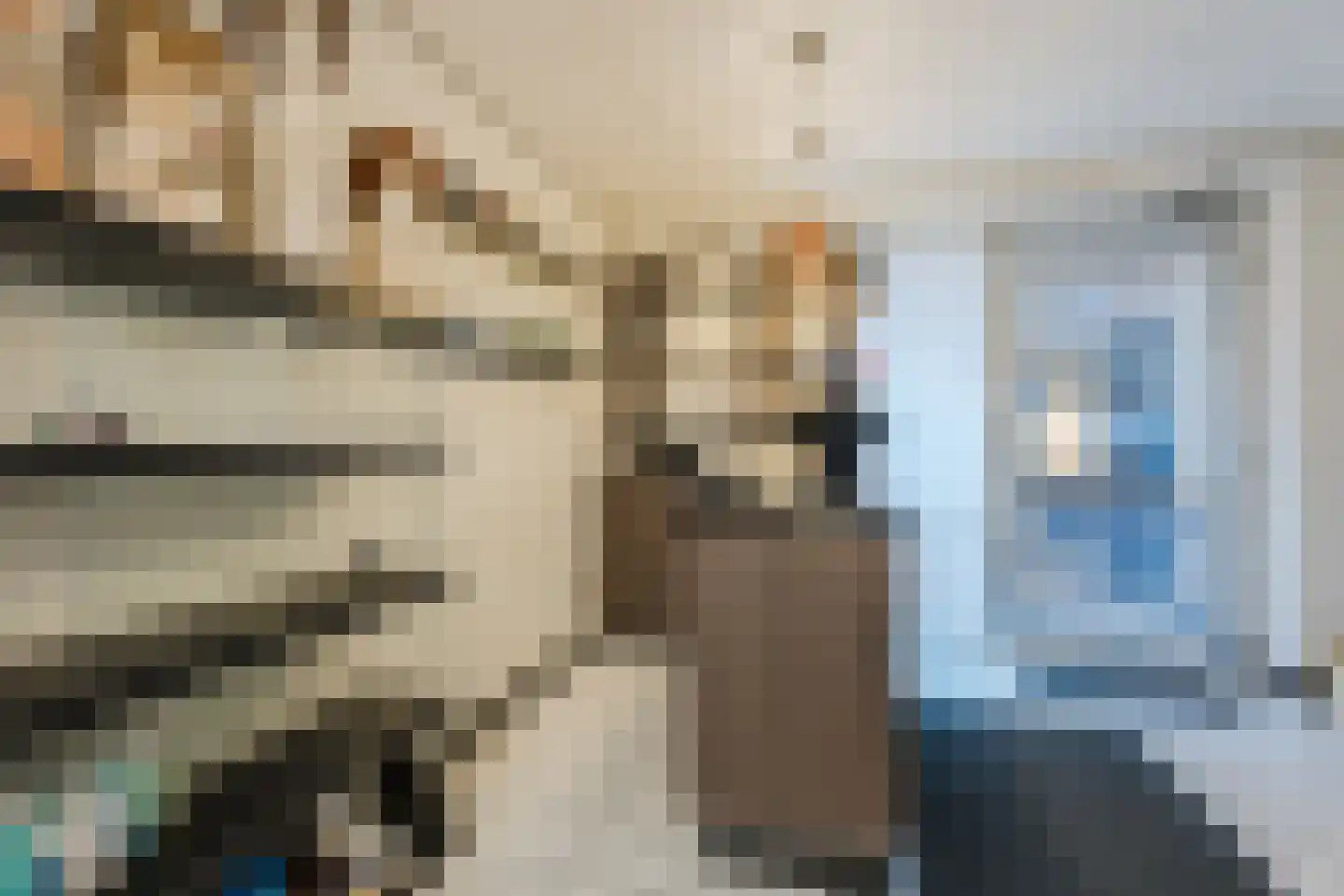 Molenstraat 52 Cuijk thumbnail 9