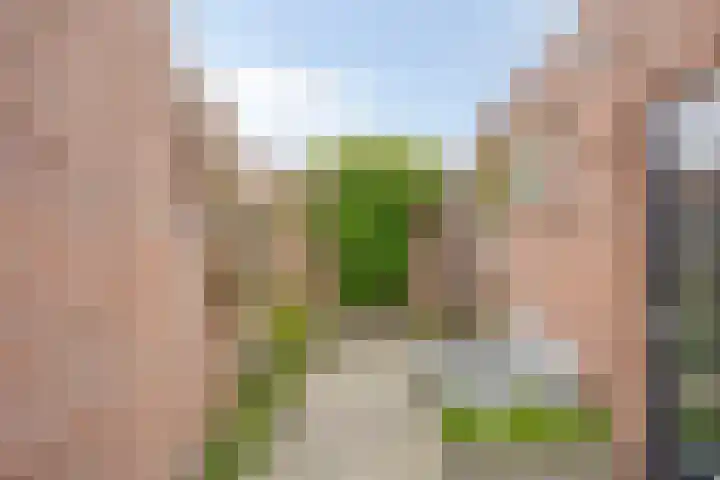 Molenstraat 52 Tilburg thumbnail 36
