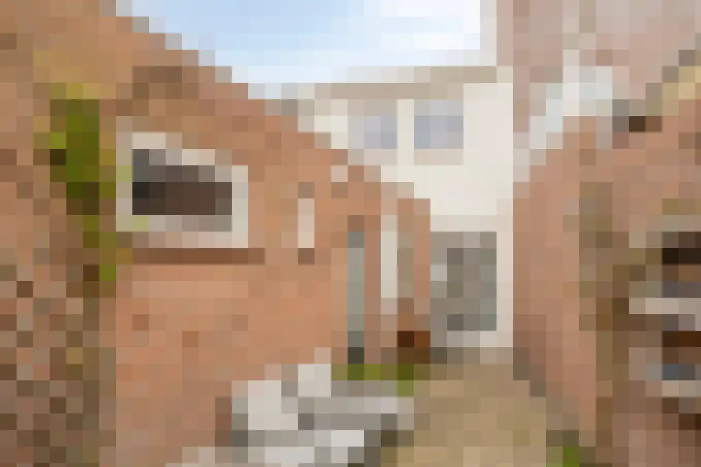 Molenstraat 52 Tilburg thumbnail 39