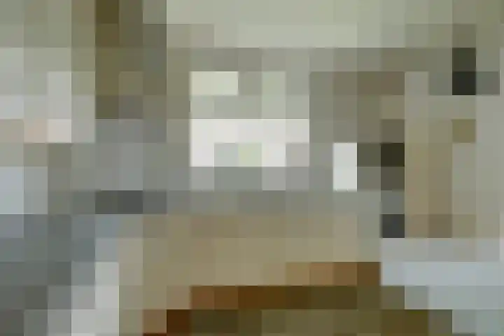 Molenstraat 52 Twello thumbnail 11