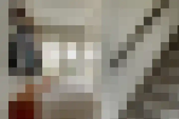 Molenstraat 52 Twello thumbnail 13