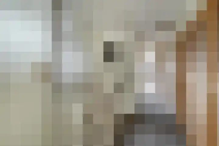 Molenstraat 52 Twello thumbnail 14