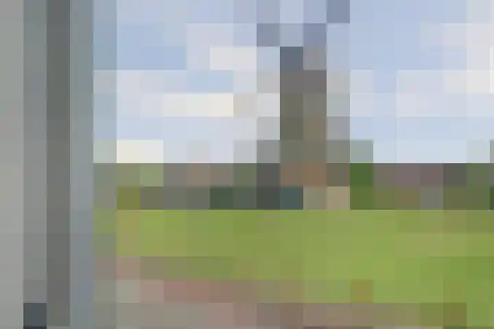 Molenstraat 52 Twello thumbnail 25