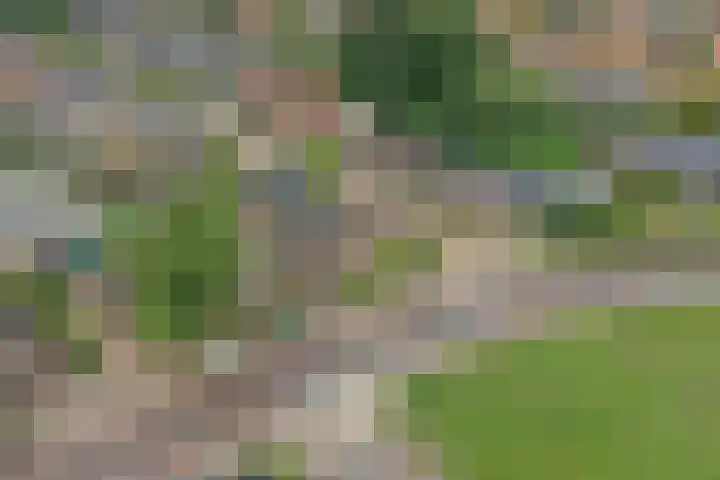 Molenstraat 52 Twello thumbnail 45