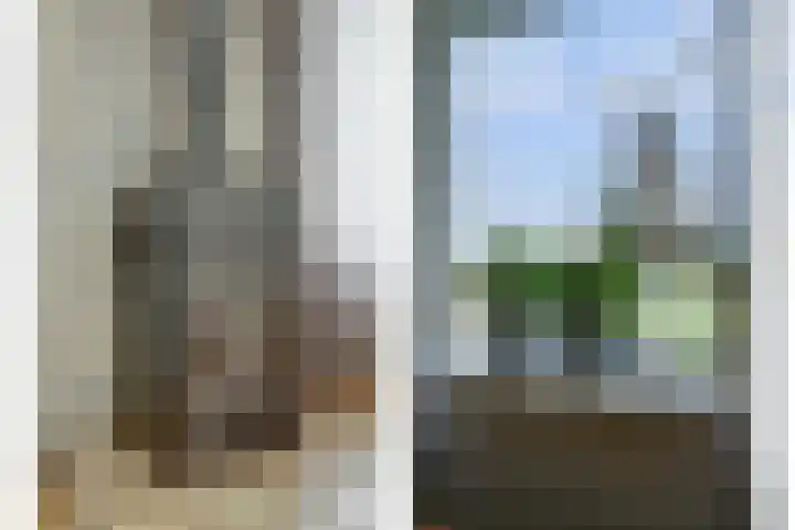 Molenstraat 52 Twello thumbnail 9