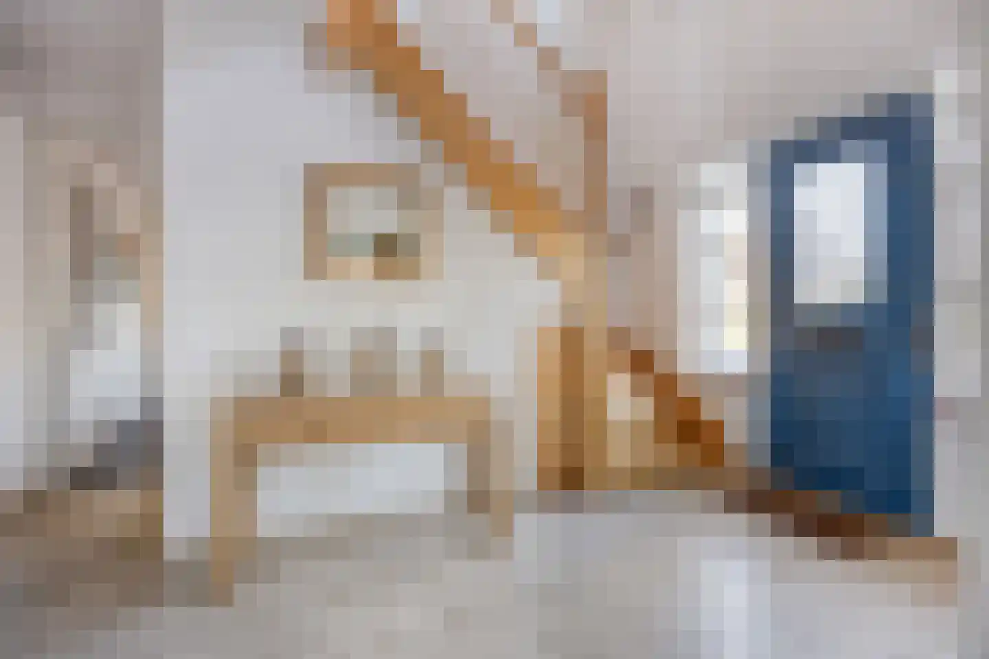 Molenstraat 53 Terheijden thumbnail 13