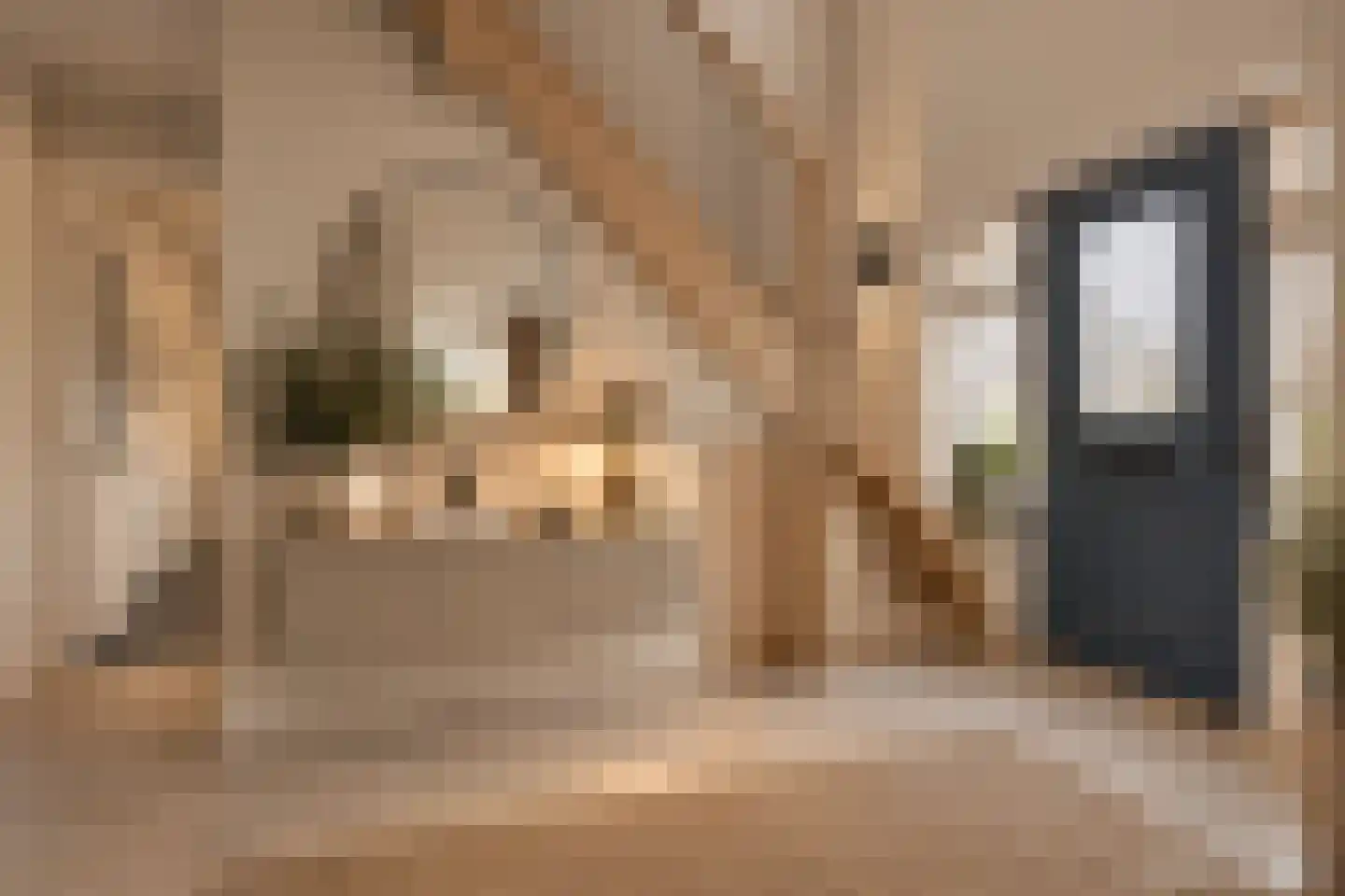 Molenstraat 53 Terheijden thumbnail 14