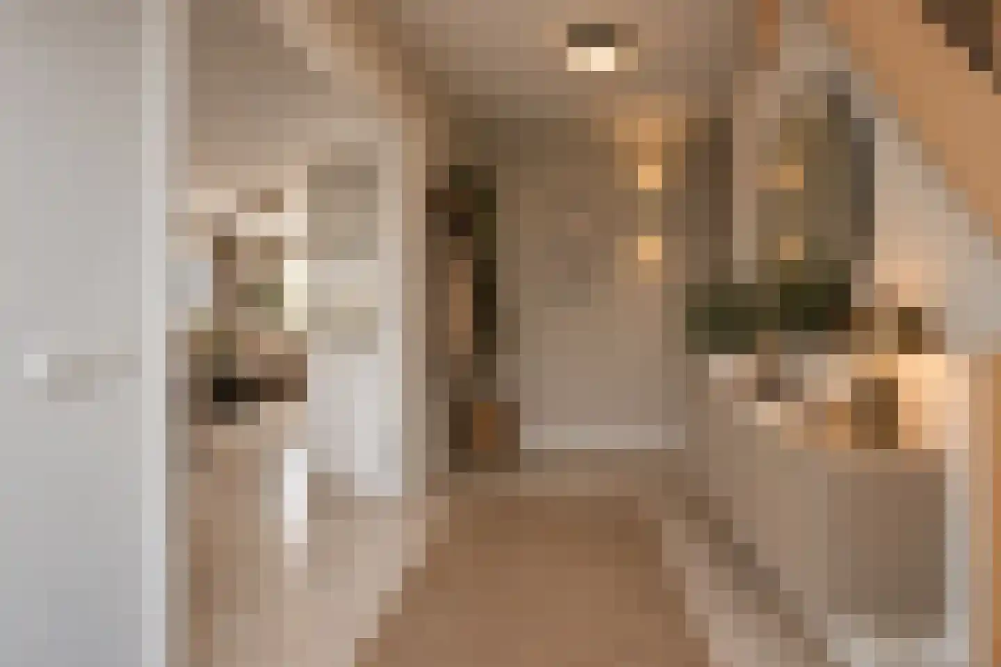Molenstraat 53 Terheijden thumbnail 16