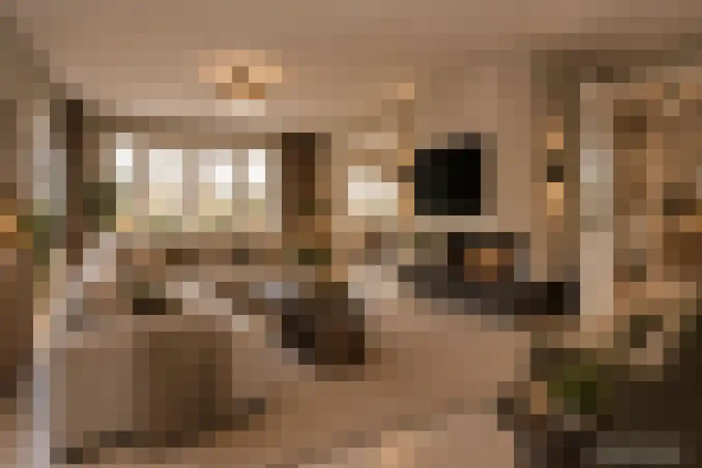 Molenstraat 53 Terheijden thumbnail 22