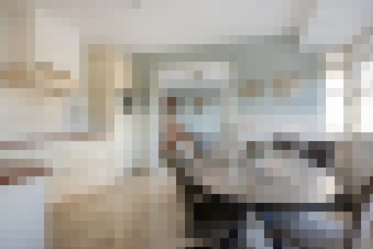 Molenstraat 53 Terheijden thumbnail 30