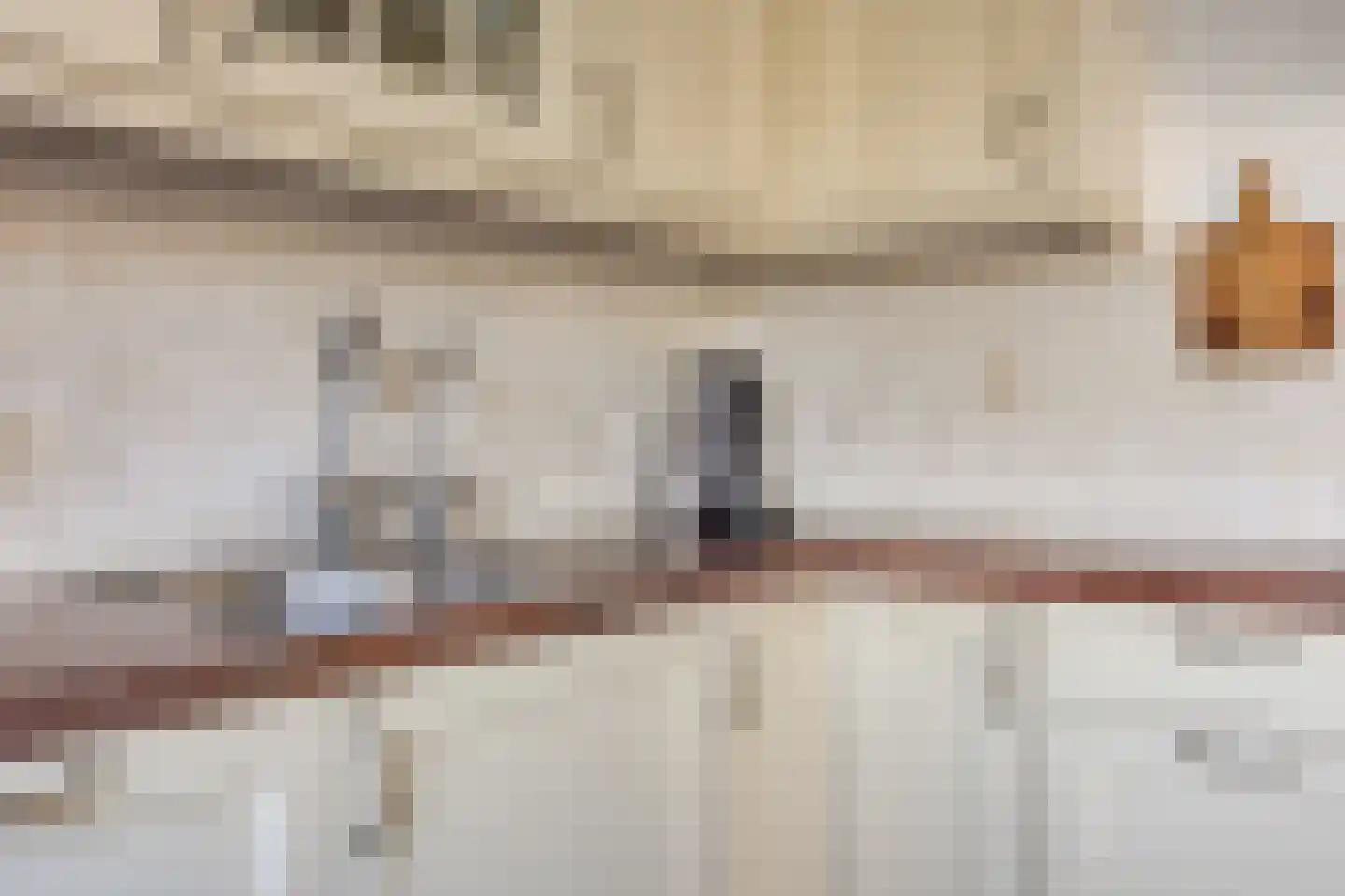 Molenstraat 53 Terheijden thumbnail 31