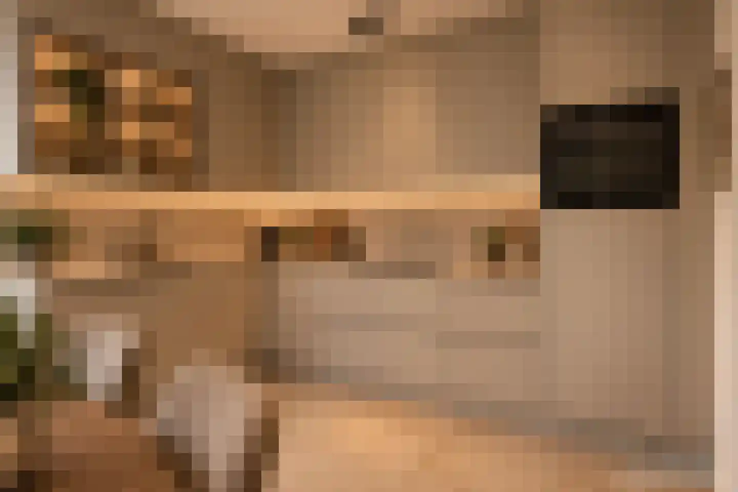 Molenstraat 53 Terheijden thumbnail 33