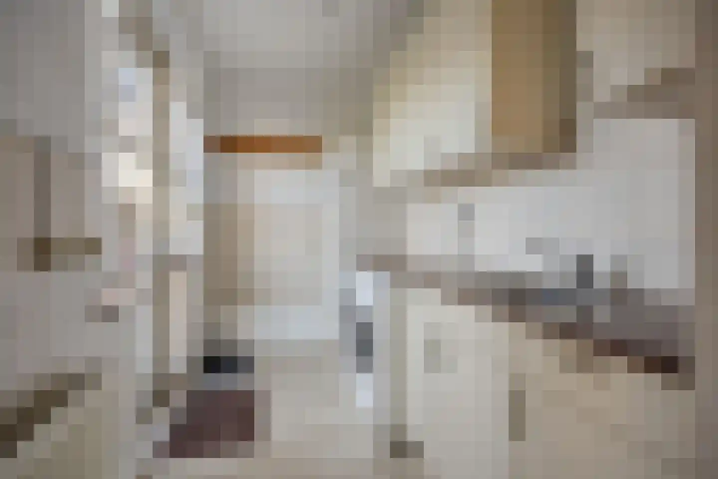 Molenstraat 53 Terheijden thumbnail 37