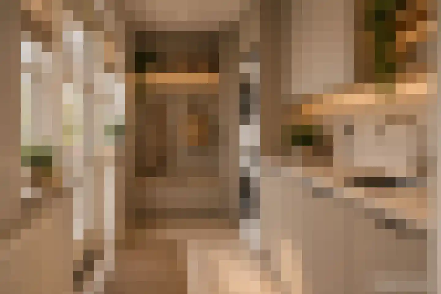 Molenstraat 53 Terheijden thumbnail 38