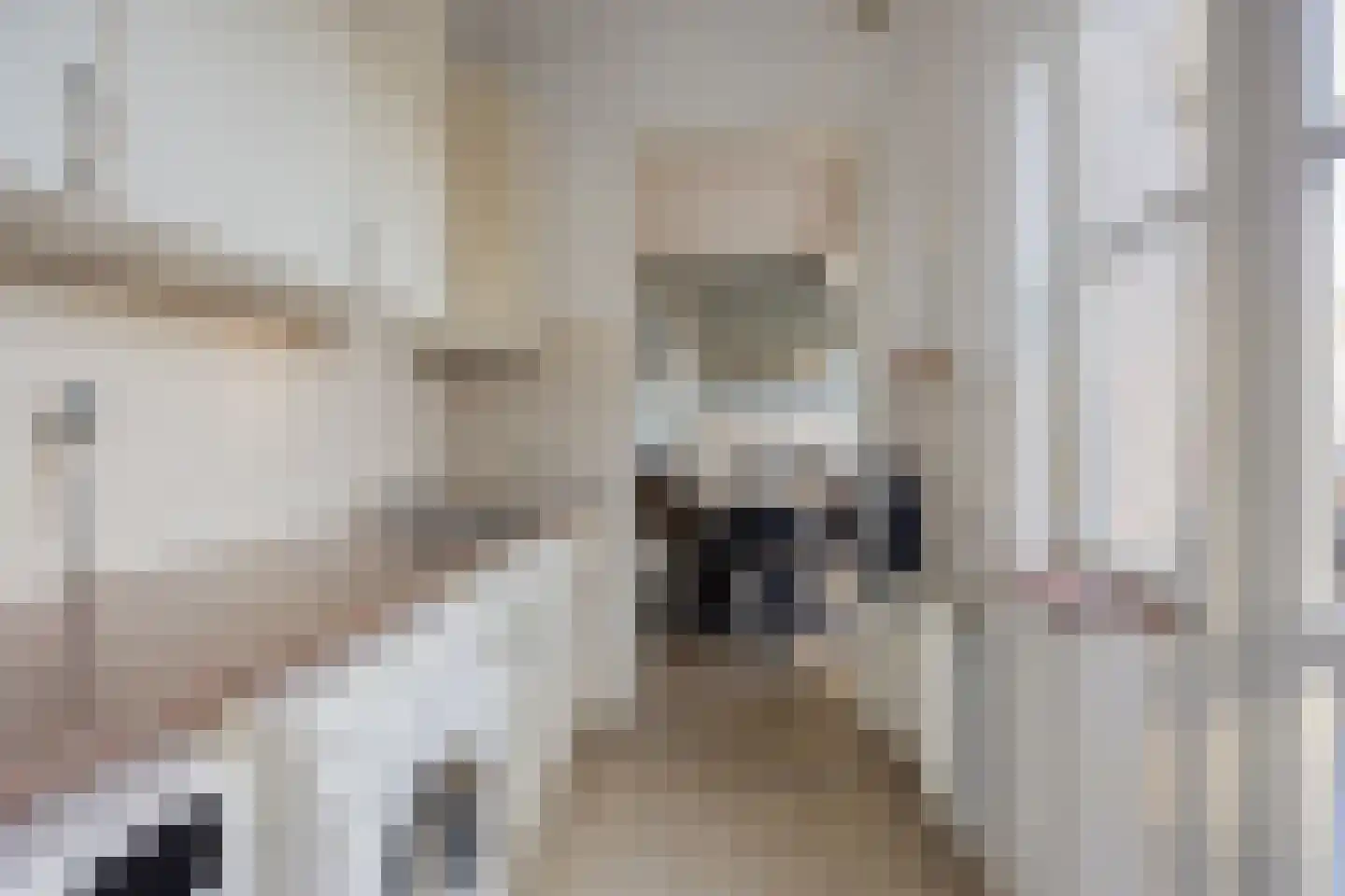 Molenstraat 53 Terheijden thumbnail 39