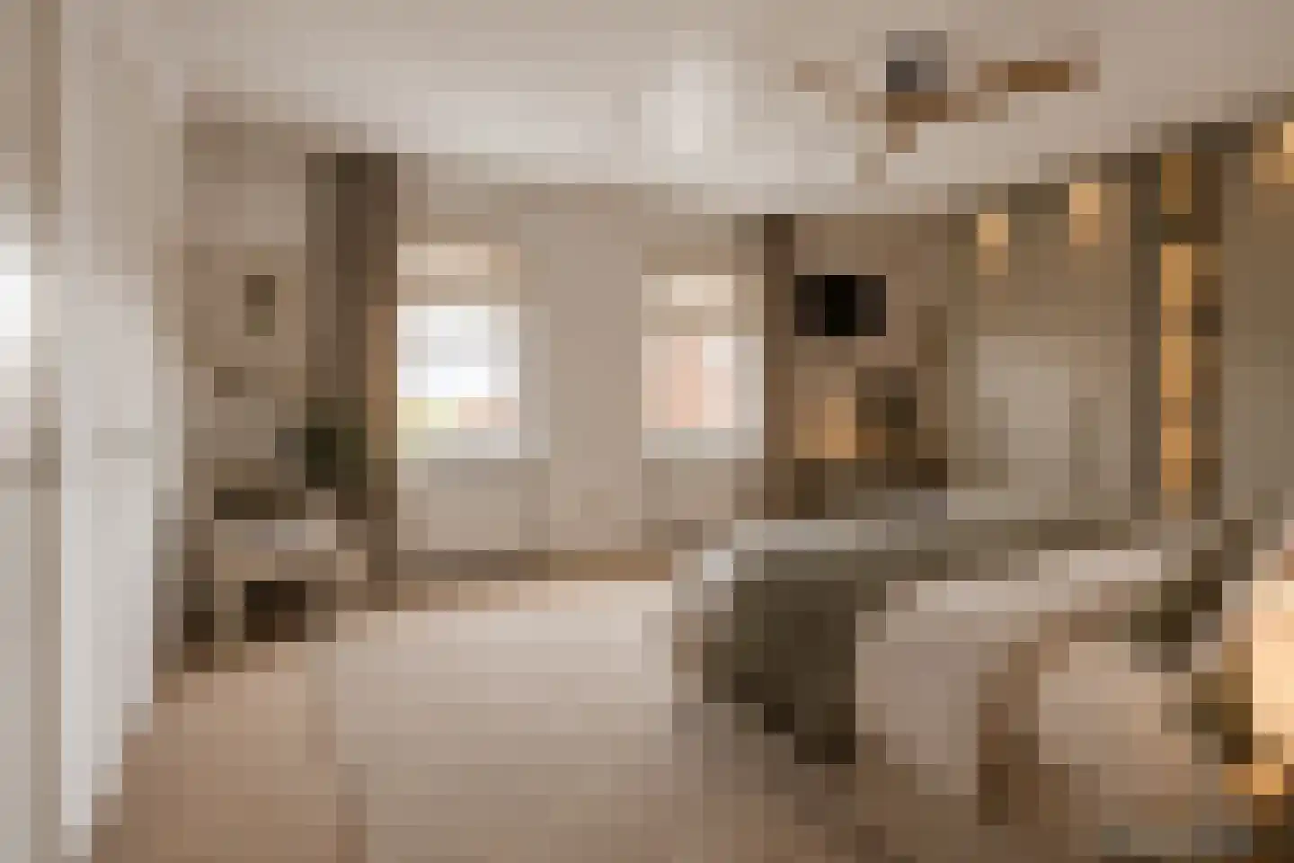 Molenstraat 53 Terheijden thumbnail 49