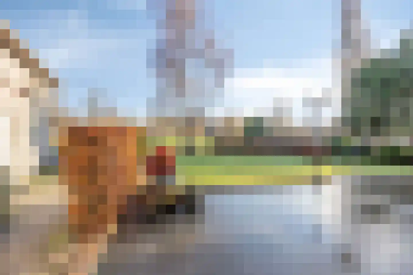 Molenstraat 53 Terheijden thumbnail 6